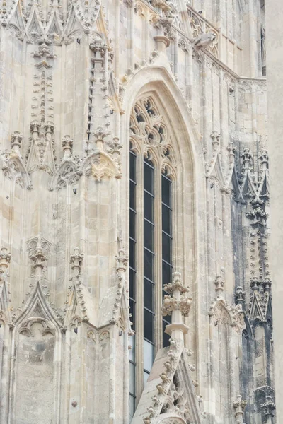 Gothic window of St. Stephen's Cathedral — Stock Photo, Image