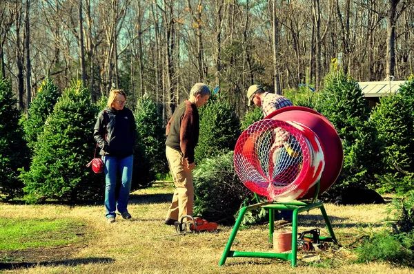 Pittsboro, NC: Couple Buying Christmas Tree — Stock Photo, Image
