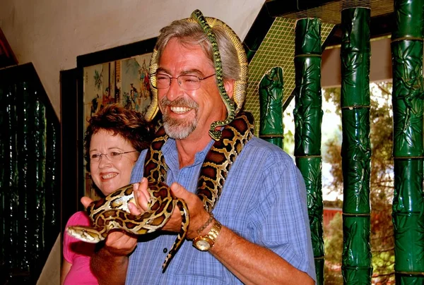 Penang, Malajzia: Férfi, kígyó, kígyó templom — Stock Fotó