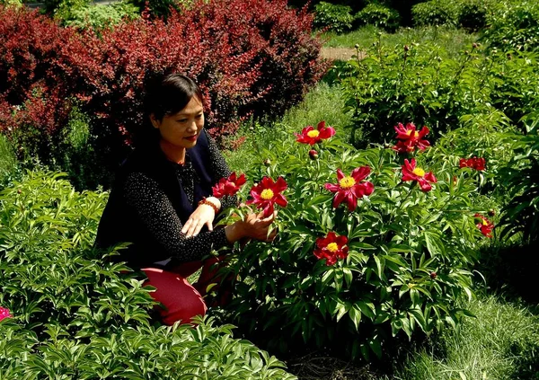 Beijing, China: Woman with Peonies — Stock Photo, Image