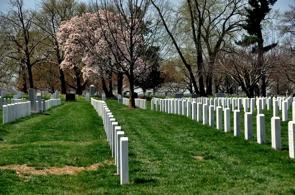 Arlington, Va: Rader av gravar på Arlington National Cemetery — Stockfoto