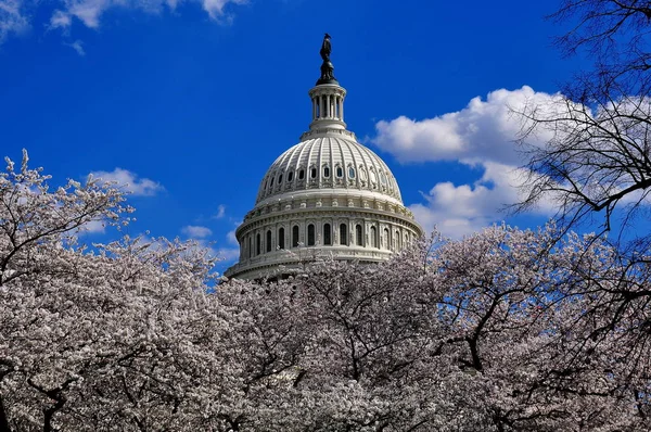 Washington, dc: Hauptstadtkuppel der Vereinigten Staaten — Stockfoto