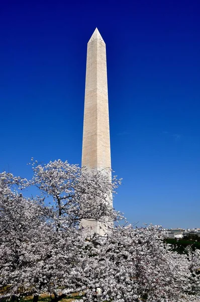 Wasington, Dc: Washington Monument — Stockfoto