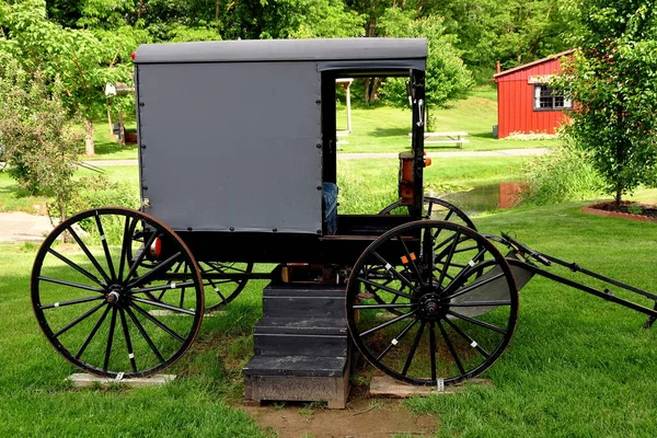 Lancaster, Pa: Buggy dei Amish — Foto Stock
