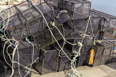 ıstakoz balıkçılık için tuzakları 