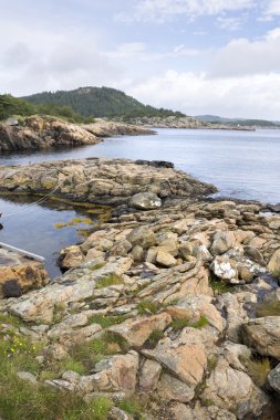 Loshvan genel bakış