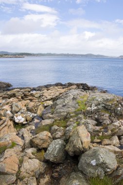 Loshvan genel bakış