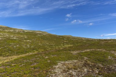 Bjorgavegen rota Norveç'te
