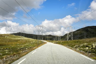 Norveç'te elektrik direkleri