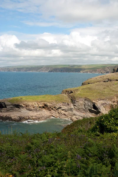 Översikt i Port Isaac — Stockfoto