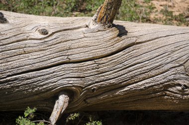 Bryce Kanyonu Ulusal Parkı