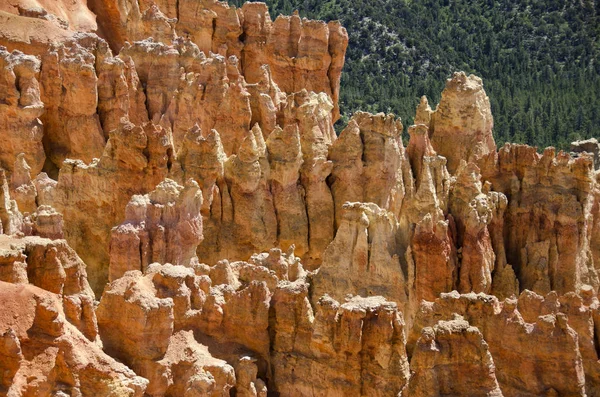 Parc national du Canyon-Bryce — Photo