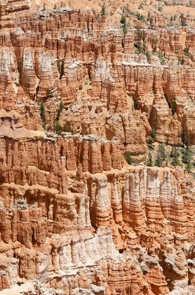 Bryce Canyon National Park — Stock Photo, Image