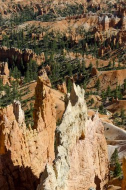 Bryce Kanyonu Ulusal Parkı