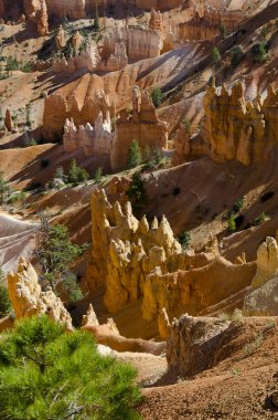 Bryce Kanyonu Ulusal Parkı