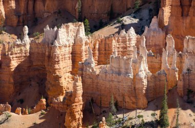 Bryce Kanyonu Ulusal Parkı
