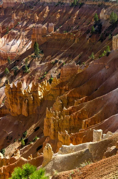 Nationaal park Bryce Canyon — Stockfoto