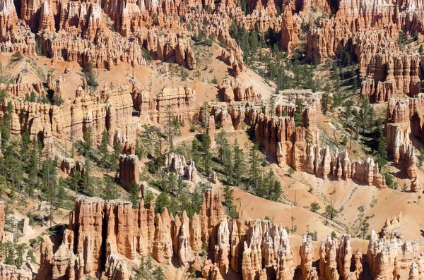 Parc national du Canyon-Bryce — Photo