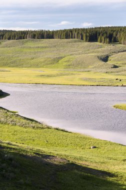 Yellowstone Milli Parkı