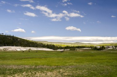 Yellowstone Milli Parkı