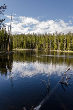 Yellowstone Milli Parkı