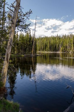 Yellowstone Milli Parkı