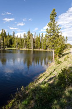 Yellowstone Milli Parkı