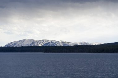 Yellowstone Milli Parkı