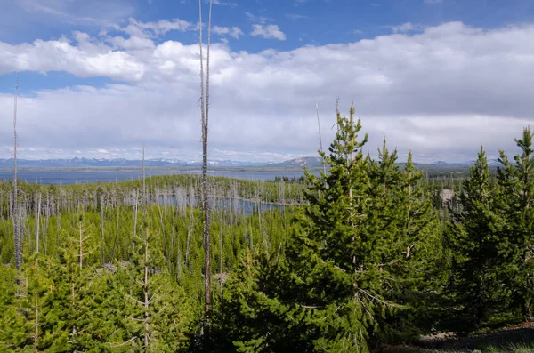 Εθνικό πάρκο Yellowstone — Φωτογραφία Αρχείου