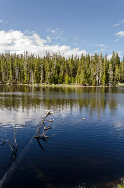 Yellowstone-Nationalpark — Stockfoto