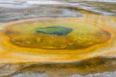Yellowstone'da Şofben 