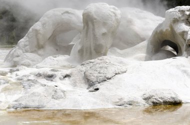 Yellowstone'da Şofben 