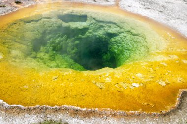 Yellowstone'da Şofben 