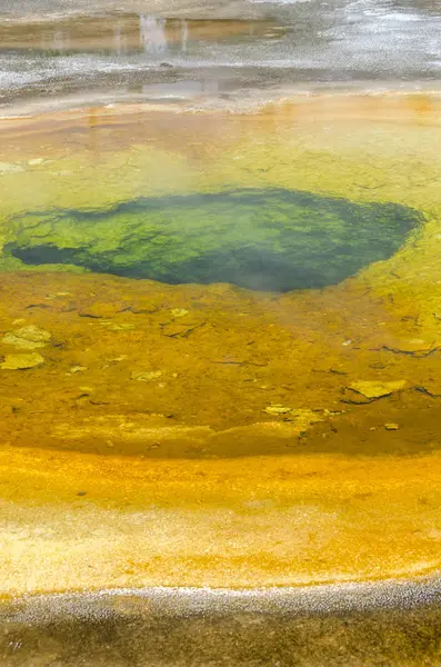 Geyser em Yellowstone — Fotografia de Stock