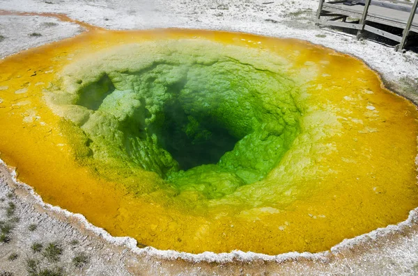 Yellowstone'da Şofben 