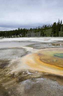 Yellowstone'da Şofben 