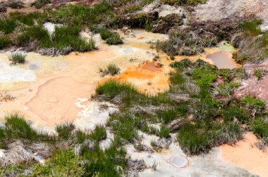Yellowstone'da Şofben 