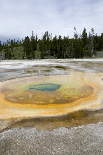 Géiser en Yellowstone — Foto de Stock