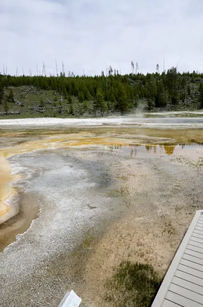 Géiser en Yellowstone — Foto de Stock