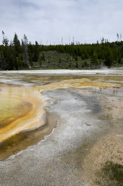 Géiser en Yellowstone — Foto de Stock