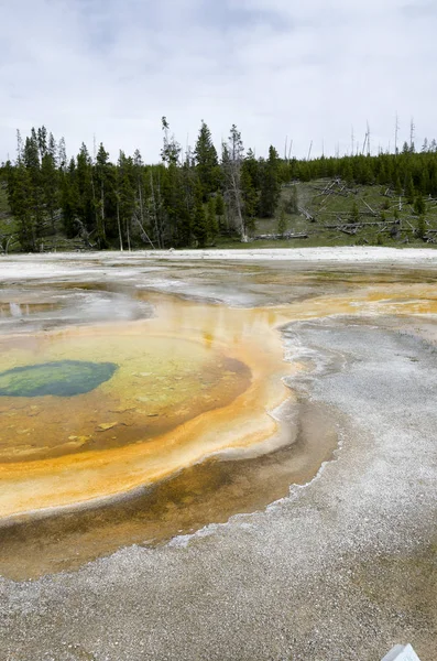 Géiser en Yellowstone — Foto de Stock