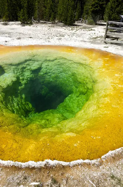 Geyser in Yellowstone — Stock Photo, Image