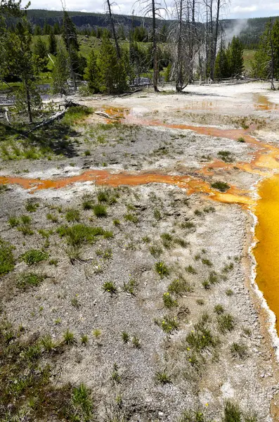 Géiser en Yellowstone — Foto de Stock