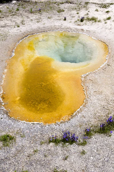 Geysir im Yellowstone — Stockfoto