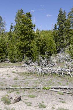 Yellowstone'da Şofben 