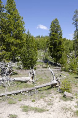 Yellowstone'da Şofben 