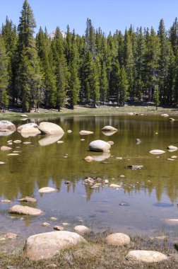 Yosemite Ulusal Parkı