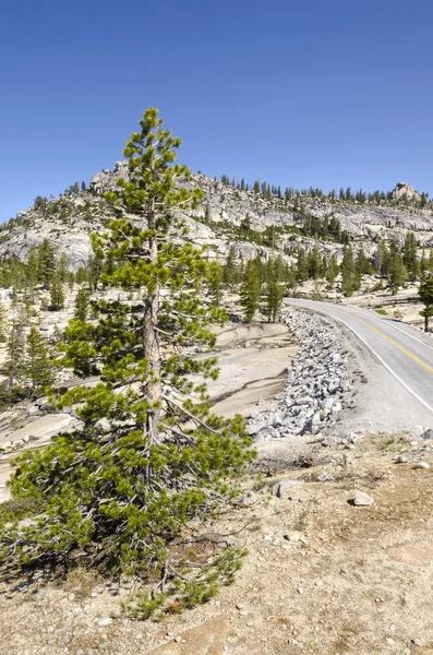 Parque Nacional de Yosemite — Fotografia de Stock