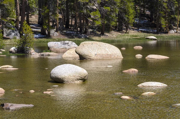 Nationaal park Yosemite — Stockfoto