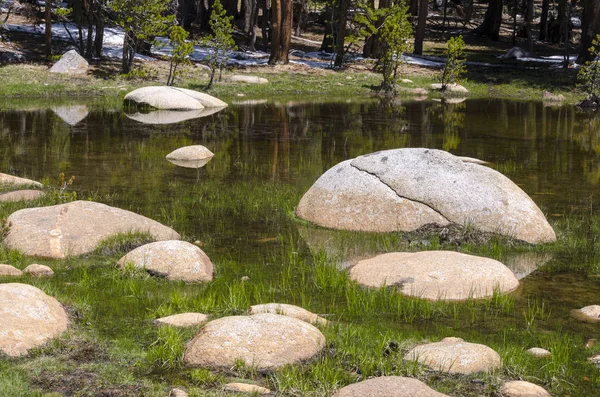 Parco nazionale dello Yosemite — Foto Stock